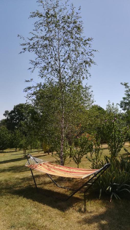 Le Mas De Carrie Bed & Breakfast Parisot  Dış mekan fotoğraf