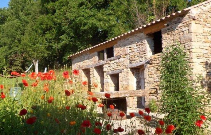 Le Mas De Carrie Bed & Breakfast Parisot  Dış mekan fotoğraf