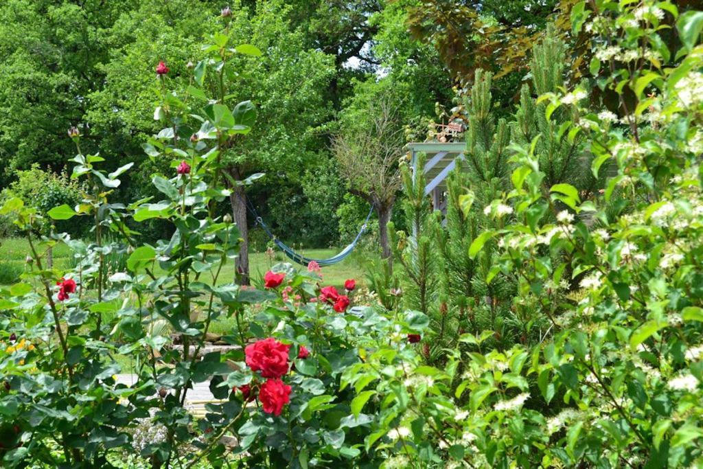 Le Mas De Carrie Bed & Breakfast Parisot  Dış mekan fotoğraf